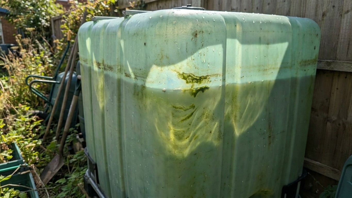 « Mon récupérateur d'eau était devenu tout vert » : cette erreur d'installation que 9 jardiniers sur 10 font sans le savoir
