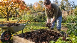 Amendement potager : compost, fumier, BRF, comment bien nourrir son sol