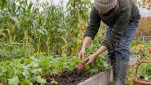 Associer les plantes au potager : ce que la science confirme et ce qu'elle nuance