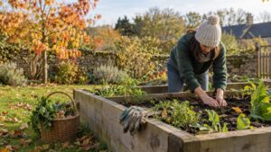 Potager débutant : le plan de mars, zone par zone