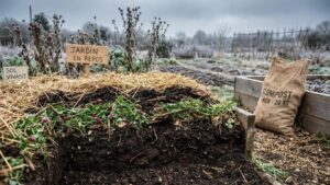 Préparer sol potager hiver engrais vert : le guide complet